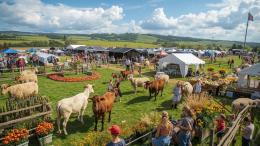 Company logo Company logo